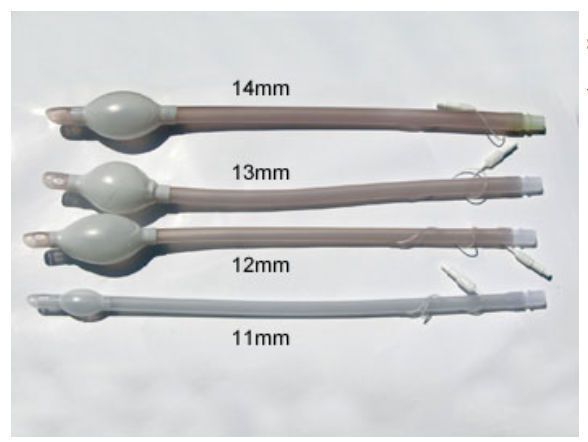 Veterinary endotracheal tube Special Veterinary Size A.M. Bickford